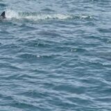 令和8年度_古河市テニス協会大会計画