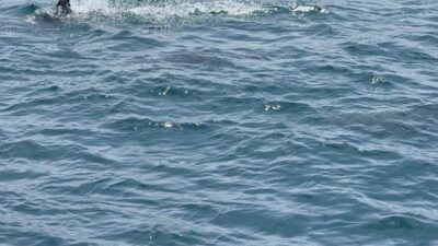 令和8年度_古河市テニス協会大会計画